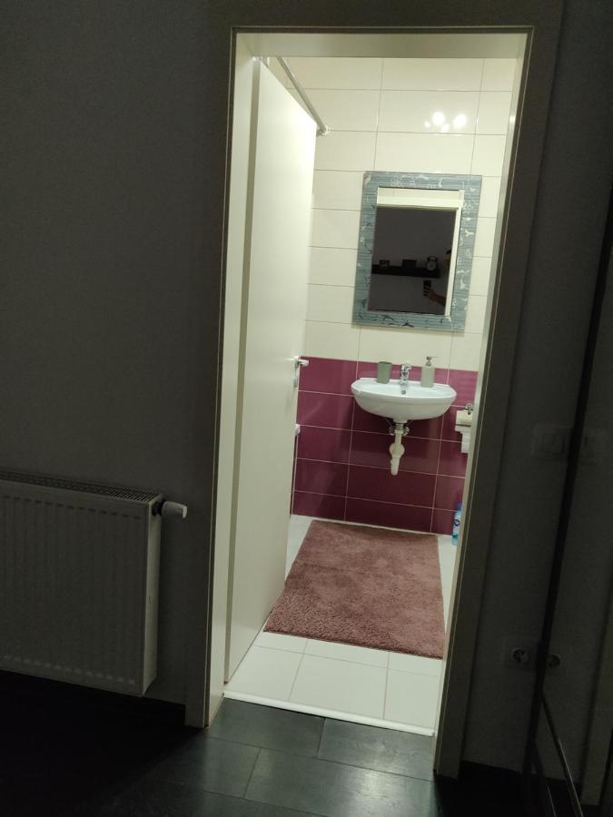 Avangarden Apartment Braşov Eksteriør billede