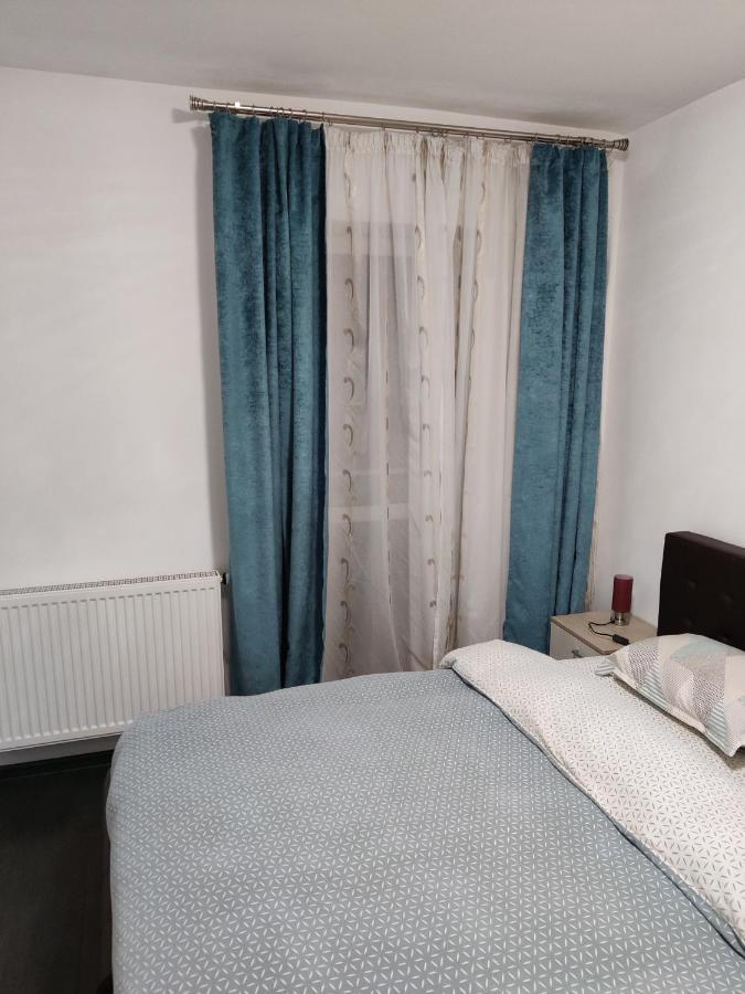 Avangarden Apartment Braşov Værelse billede