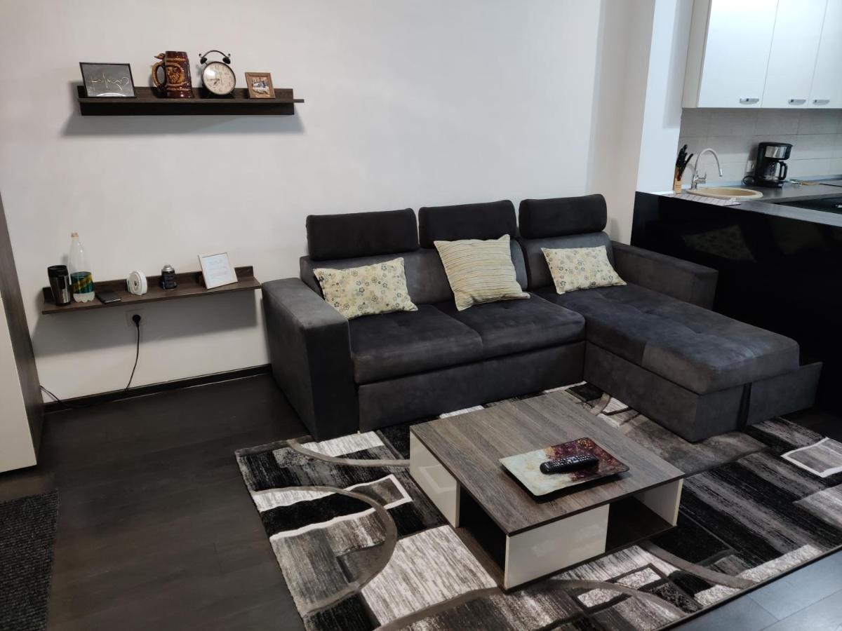Avangarden Apartment Braşov Eksteriør billede